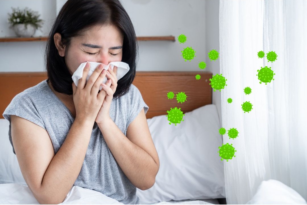 Influenza in 2026: Global Trends, Asia Updates, and Clinical Insights